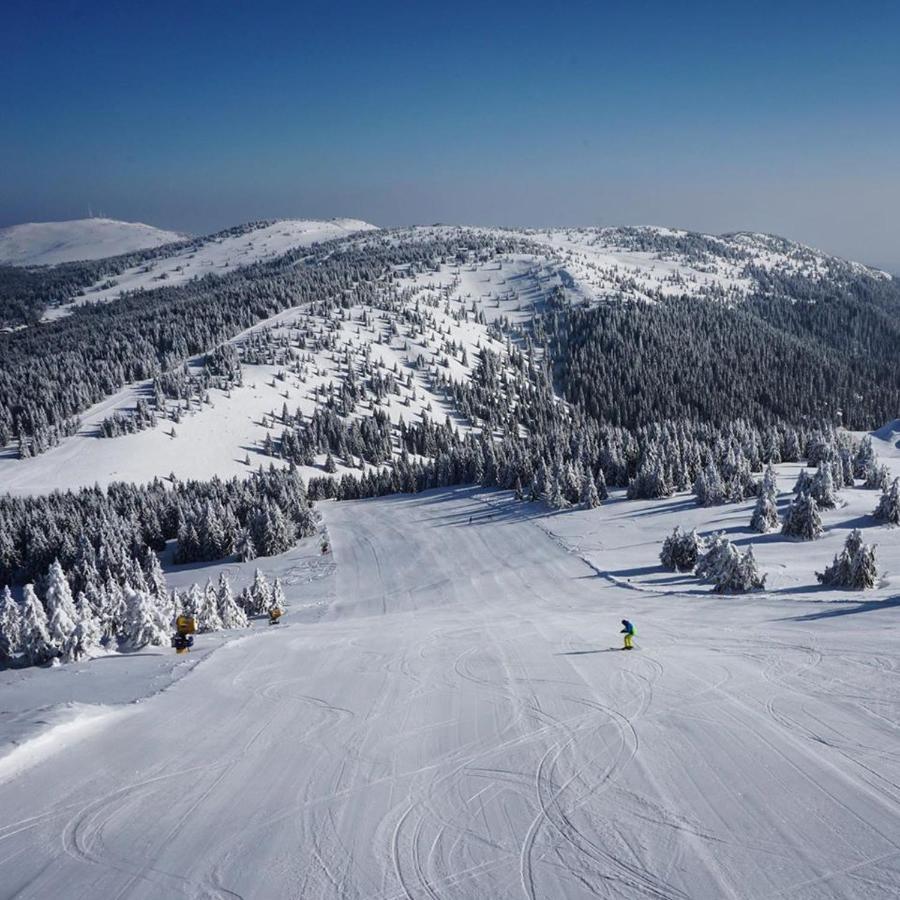Ski & Spa Apartment S20 Milmari Resort Kopaonik Exterior foto